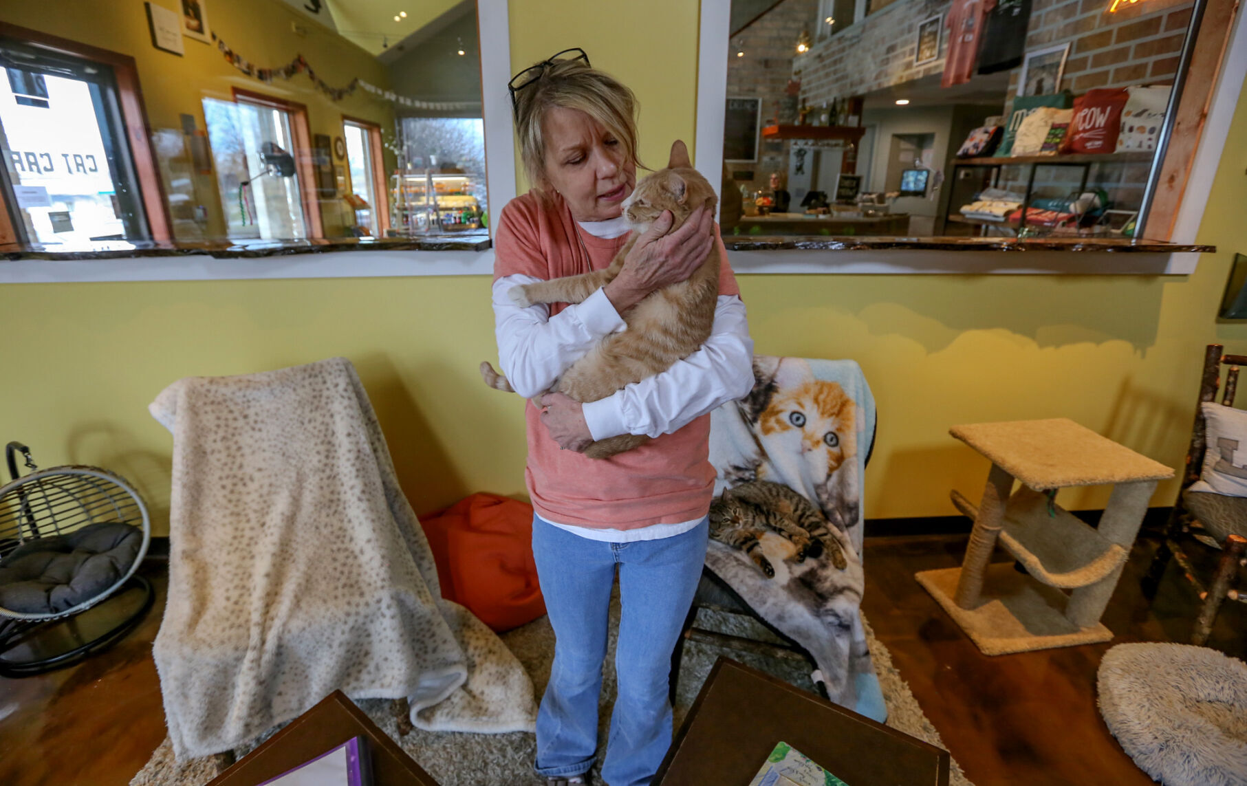 The Region Cat Cafe